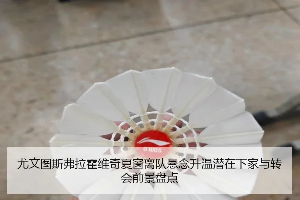 尤文图斯弗拉霍维奇夏窗离队悬念升温潜在下家与转会前景盘点
