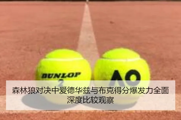 森林狼对决中爱德华兹与布克得分爆发力全面深度比较观察
